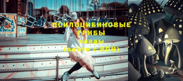хмурый Алексеевка
